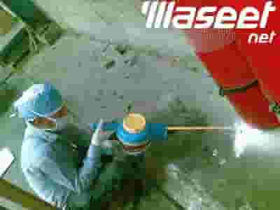  شركة مكافحة حشرات