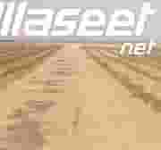 For sale 25 acres one piece of road