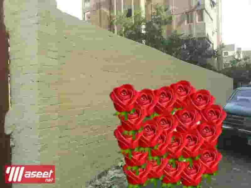 Land for sale in Egypt Cairo Hadaeq Helwan 