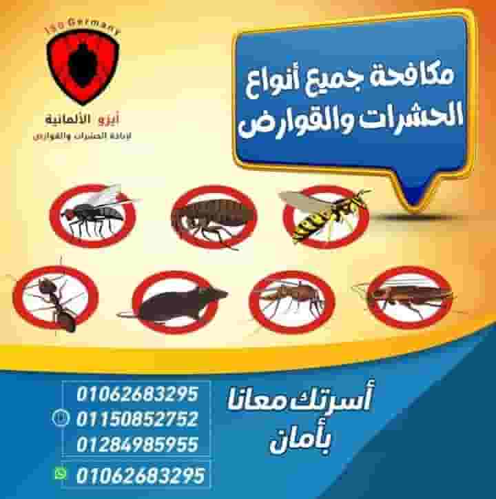 الشركة الألمانية لإبادة الحشرات والقوارض