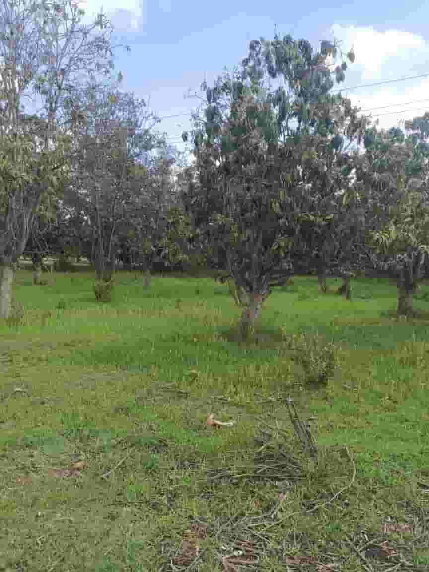 Agricultural land for sale 39 karat Ismailia Suez road