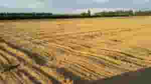 Empty land for sale 1550 m 