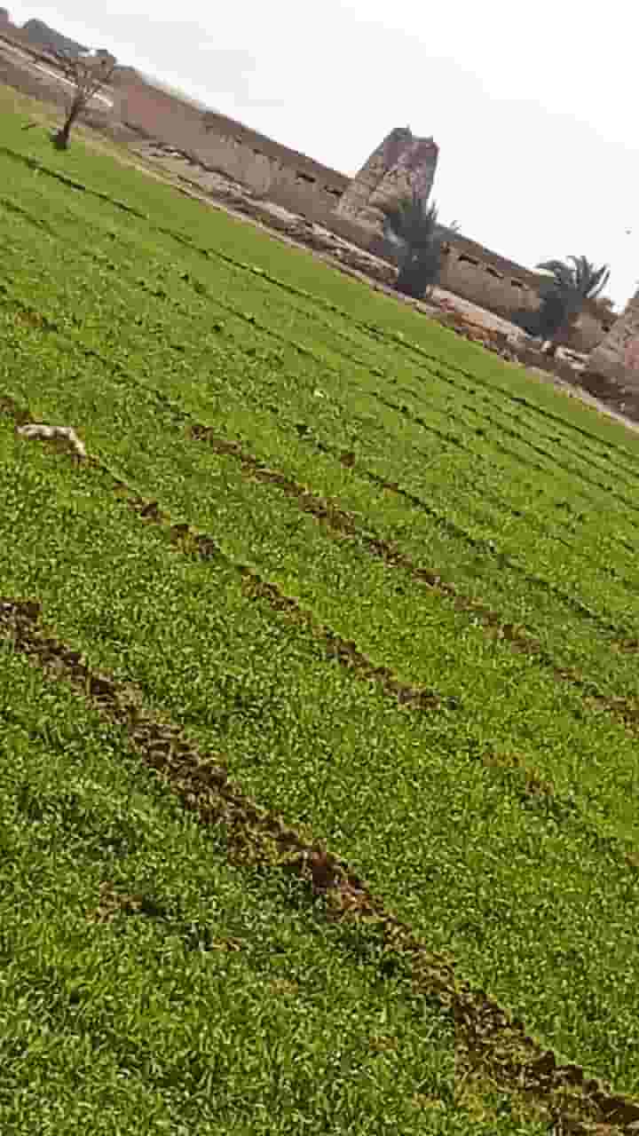 Agricultural land at an excellent price