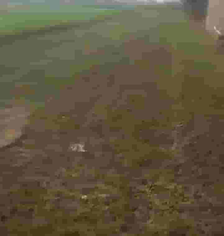 4000 square meters of building land for sale in Menoufia