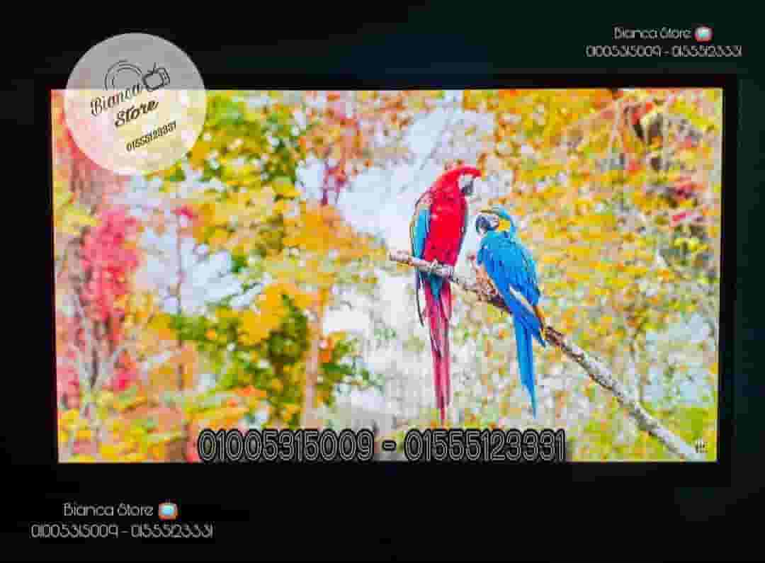 شاشات 24 بوصة LED FHD IPS و رسيفر IPTV  