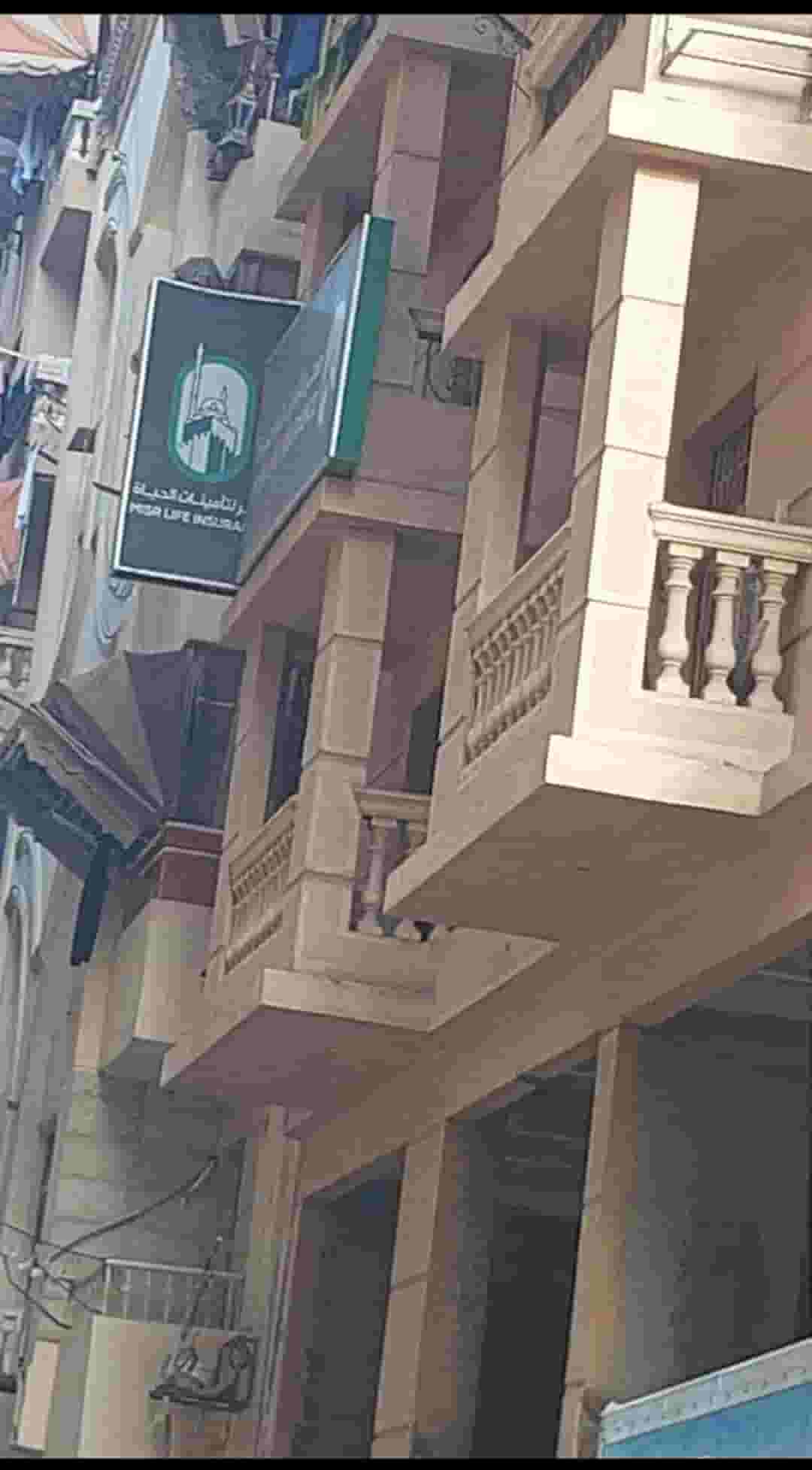 Administrative office for rent 300 meters