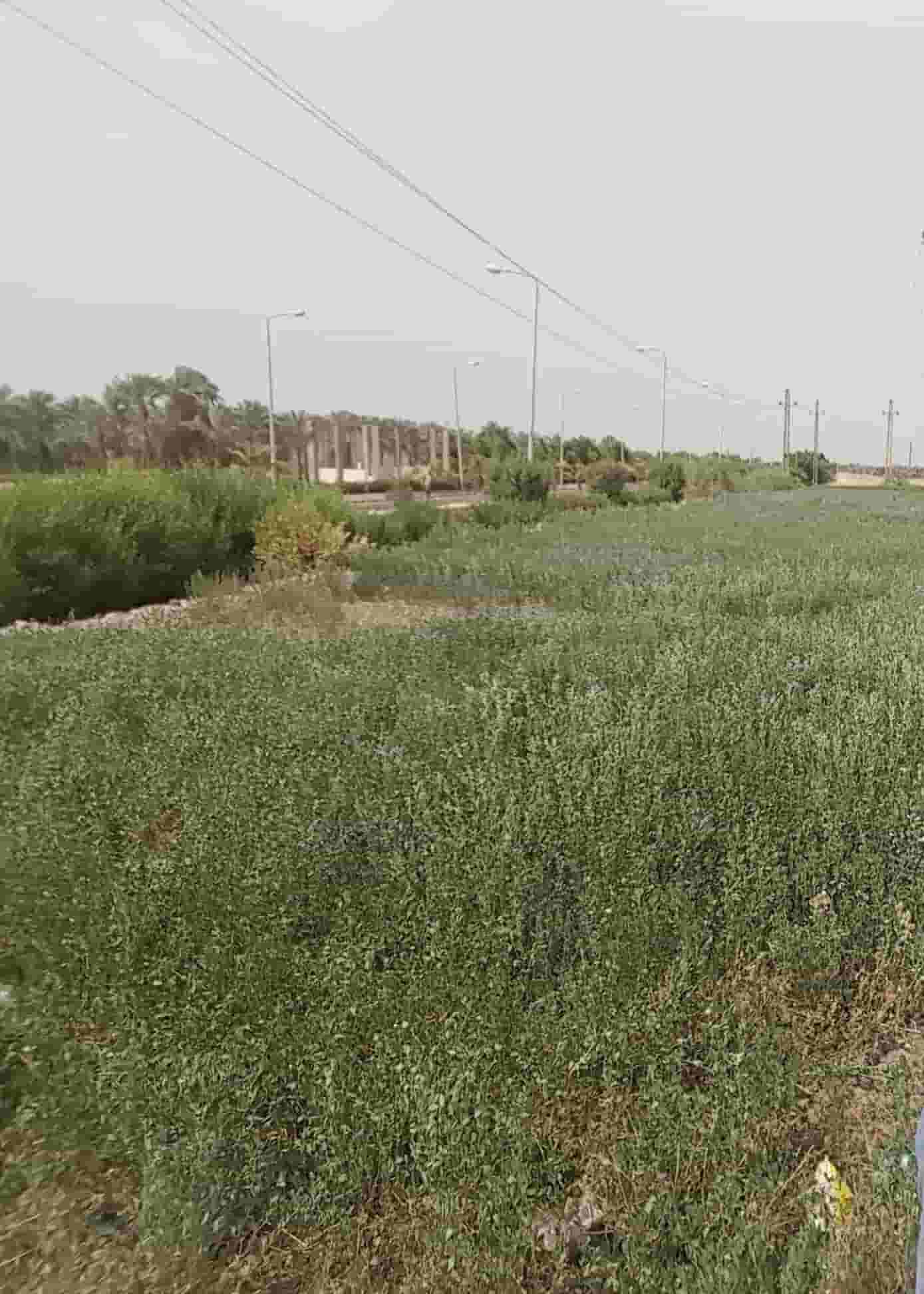 Land in Luxor - Tiba for sale