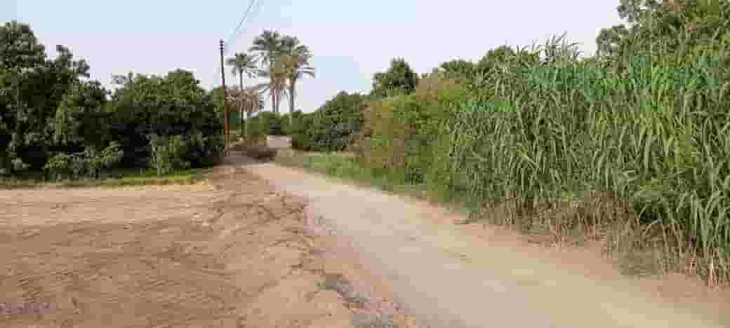 4 acres of agricultural land for sale in Ismailia 