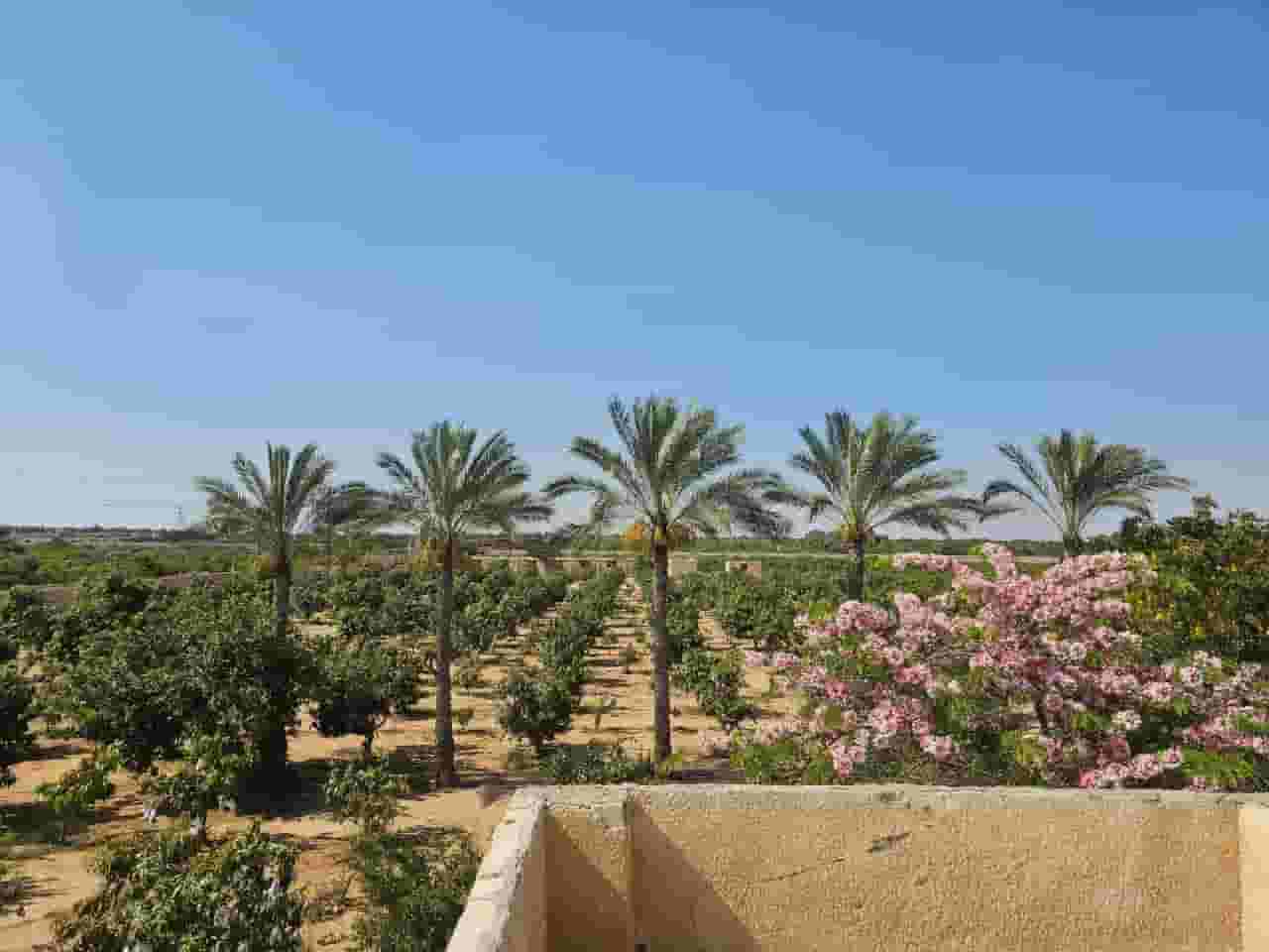 Farm for sale in Wadi El Malak in Ismailia