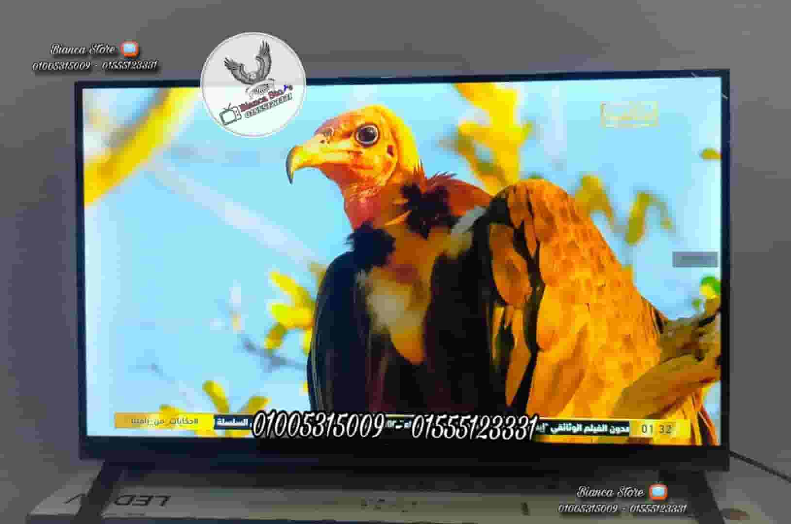 32 inch Sinex receiver screens for sale inside