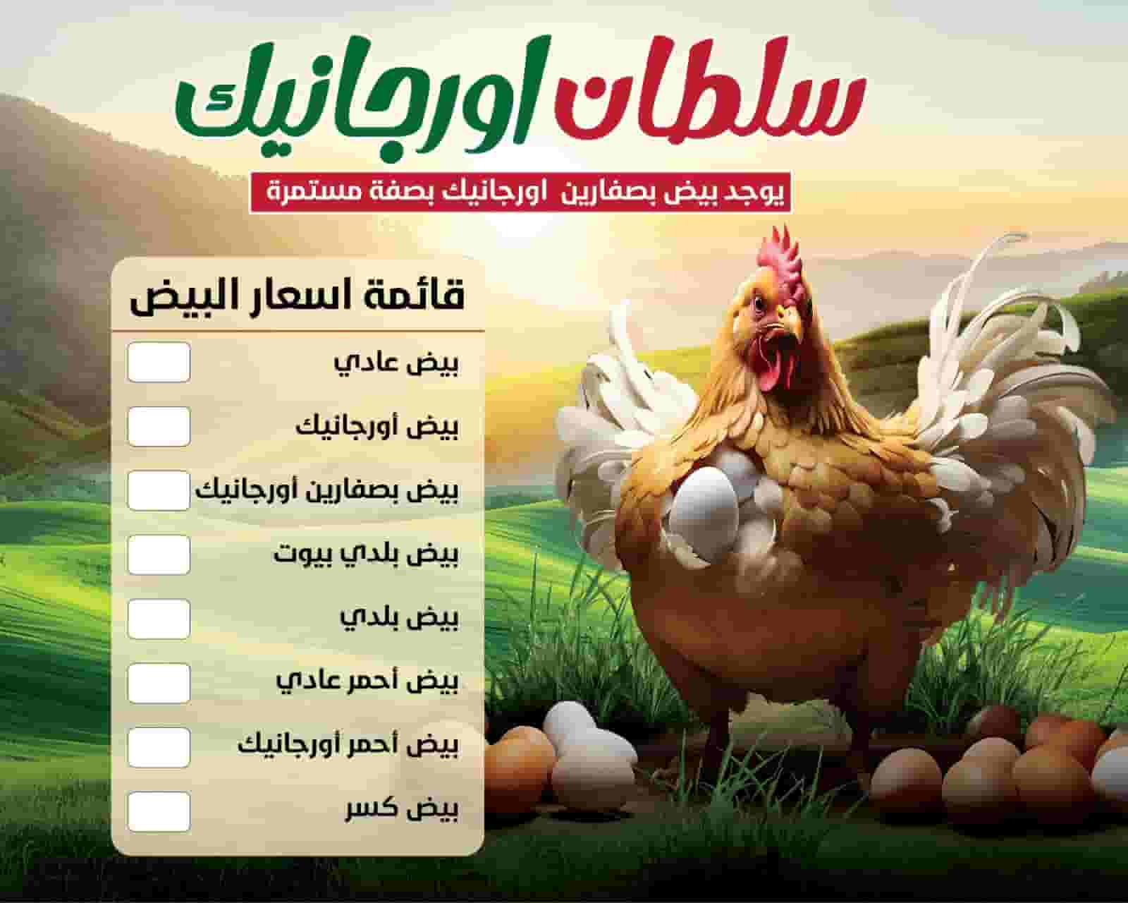 Sultan Organic for the supply of eggs