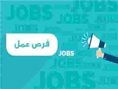 وظيفة فرد امن