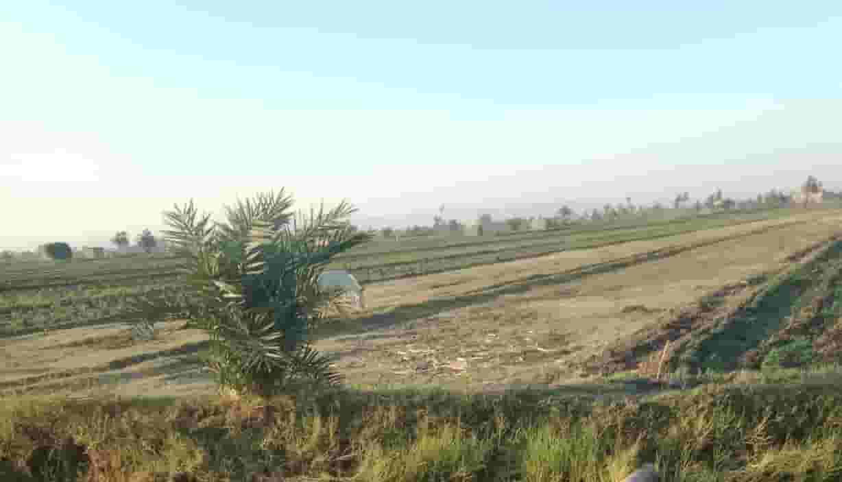 Agricultural land for sale 1406 m
