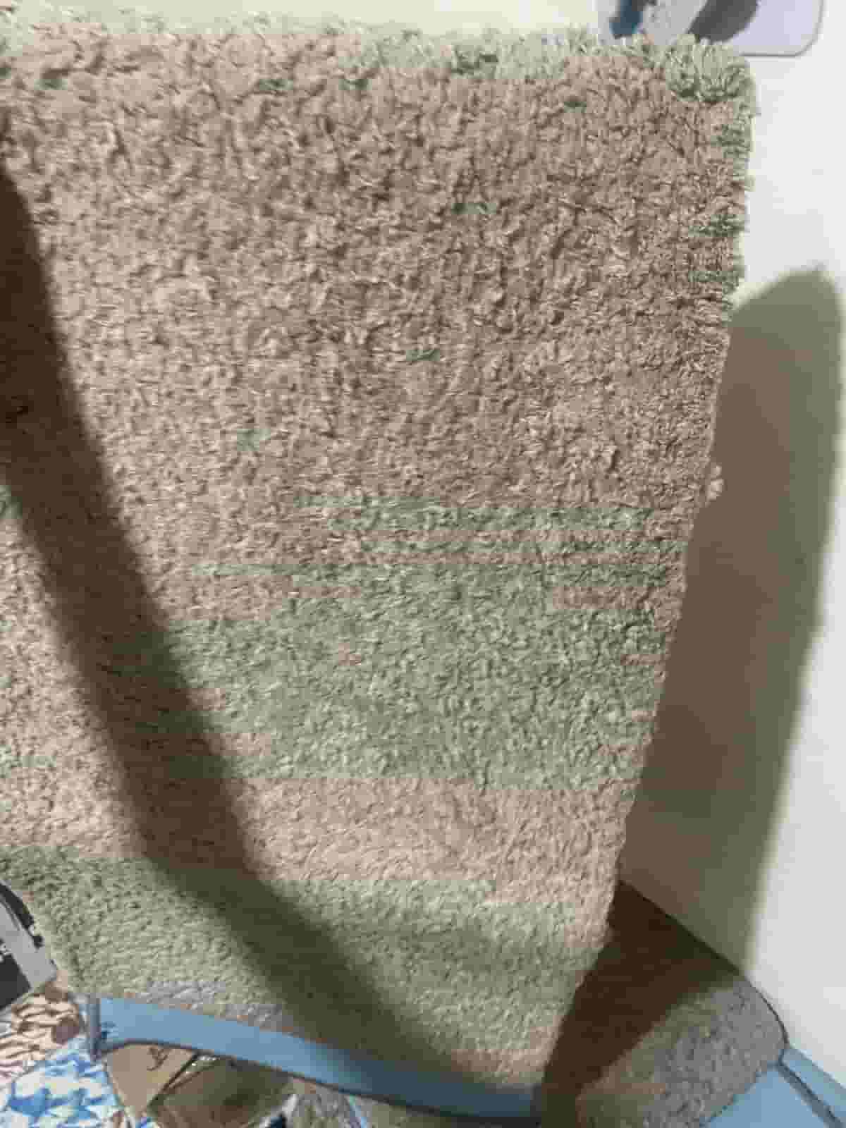 Belgian carpet 