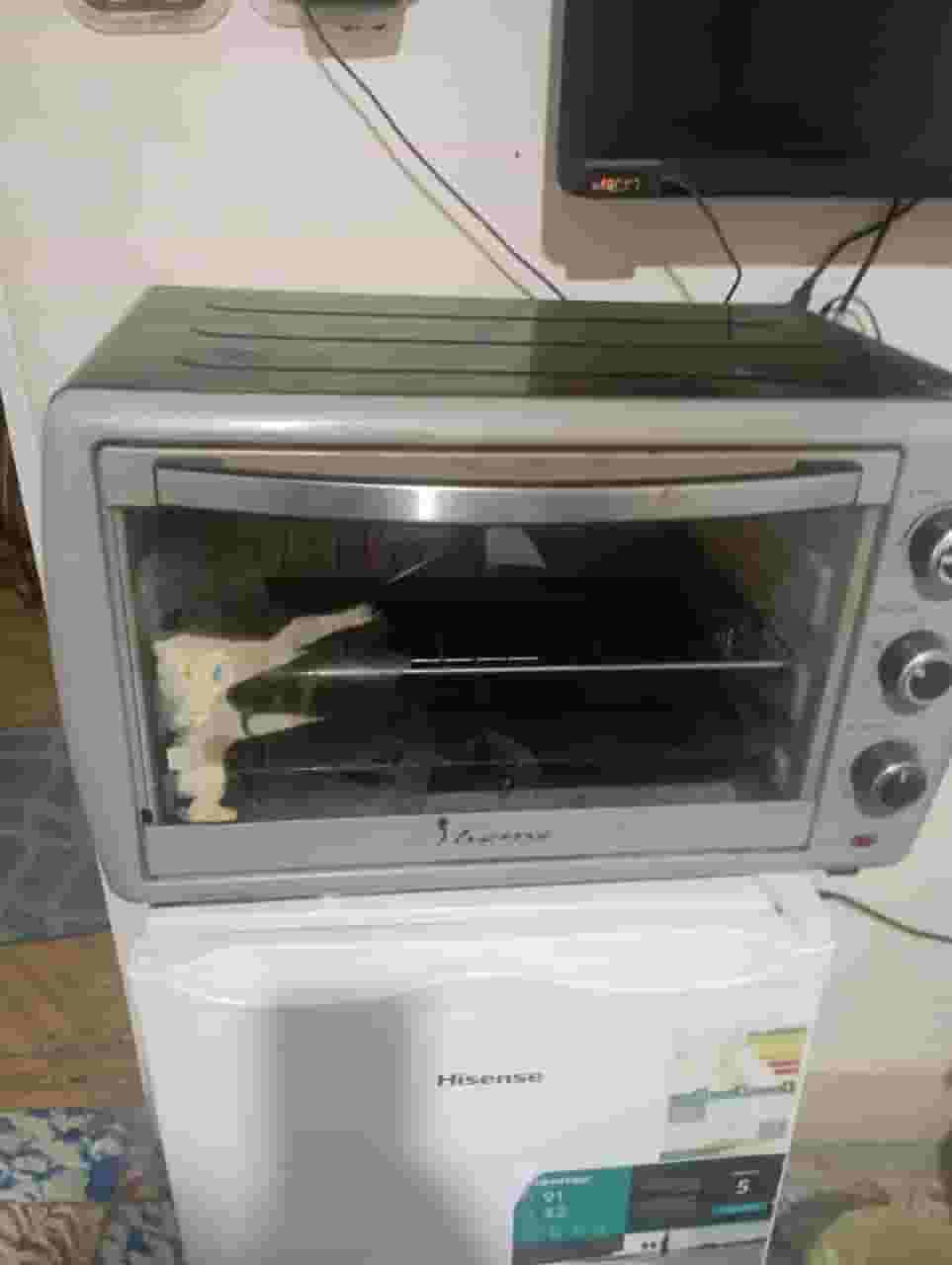 electric oven