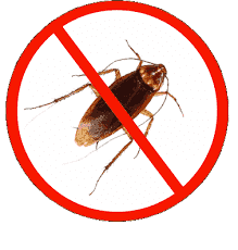 Pest control at the lowest prices