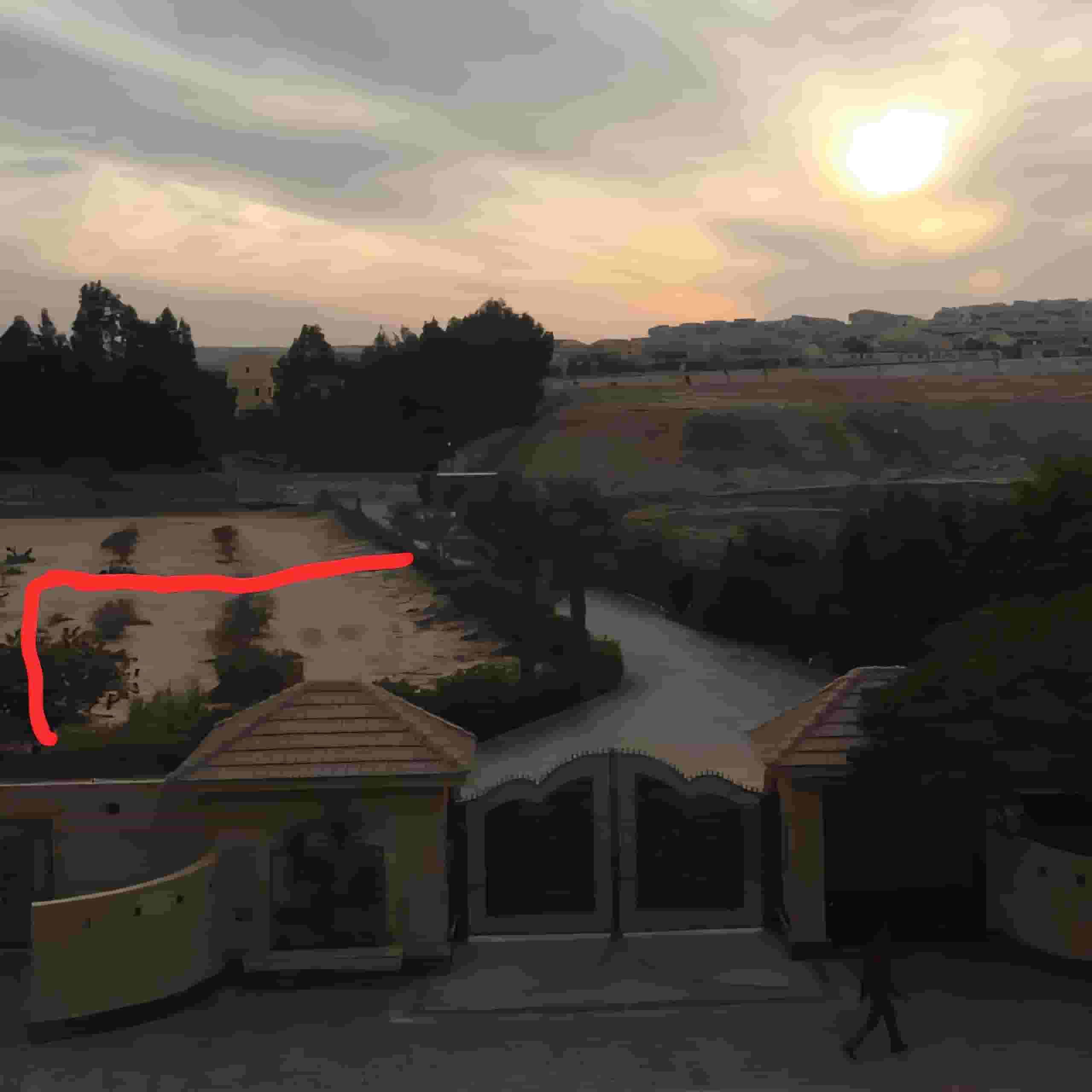 1000 m land in the Green Revolution
