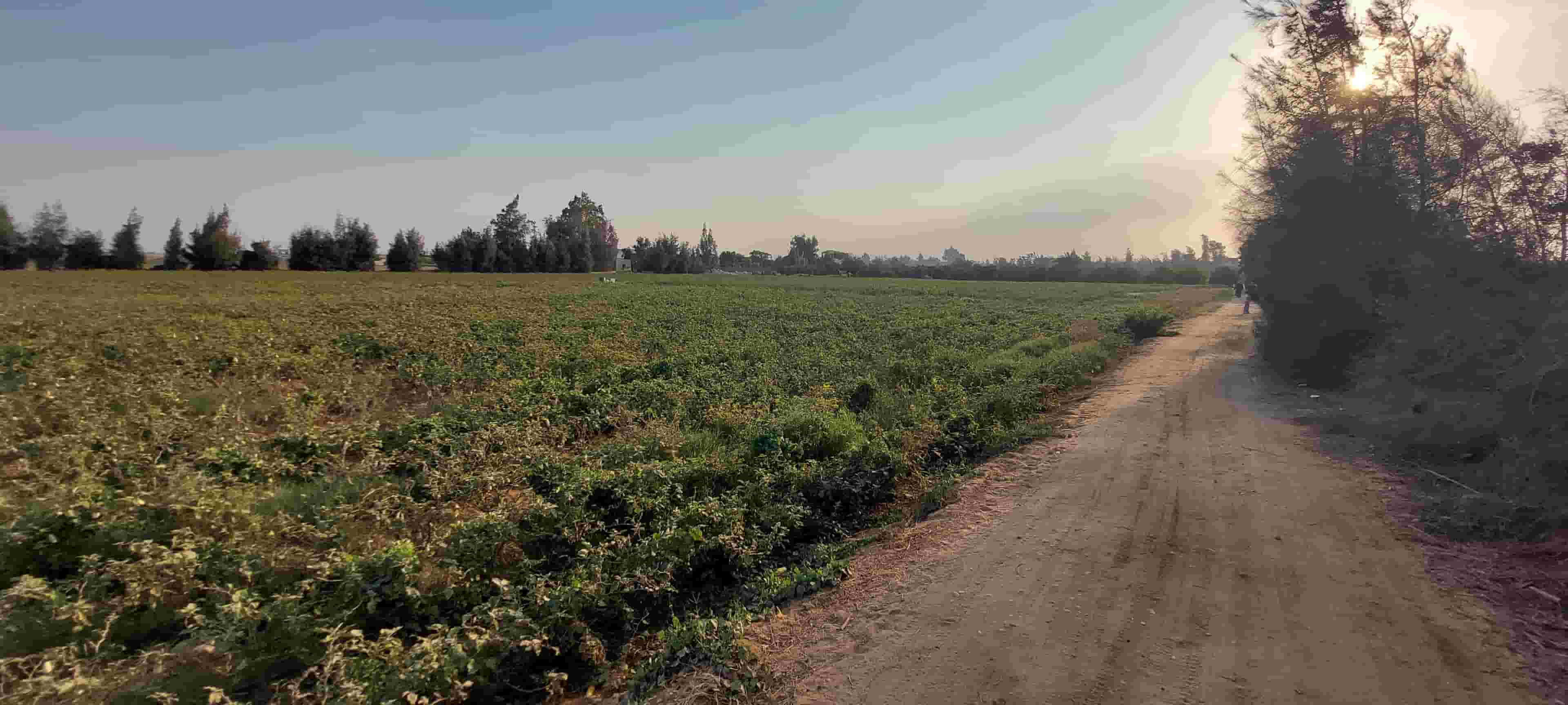 22 acres farm for sale