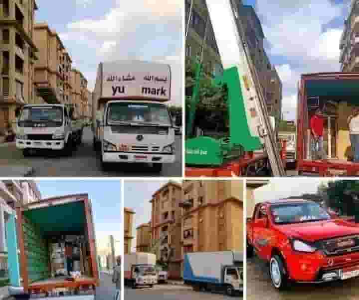 El Assiouty for moving furniture 