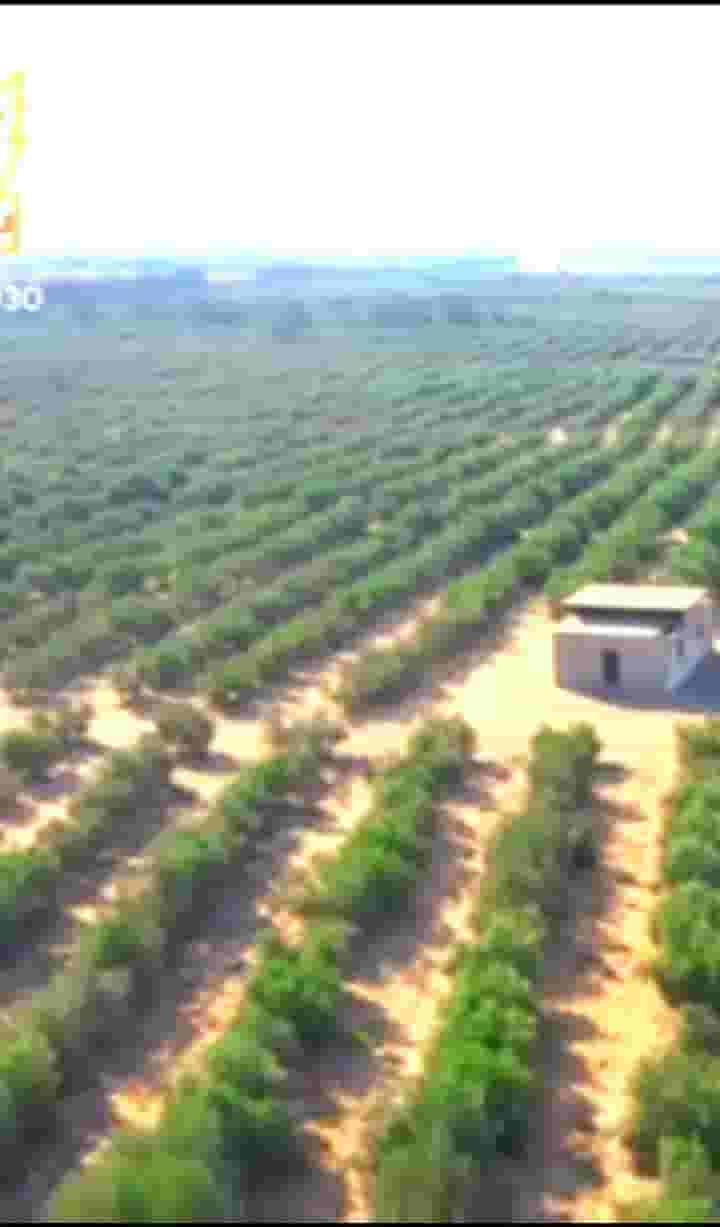 مزرعه 145 فدان للبيع بطريق الاسكندريه الصحراوى