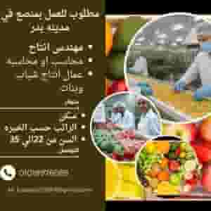 Production workers in a factory in Badr City, guys and girls