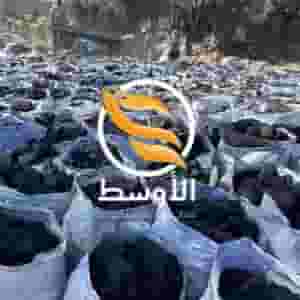 Jazurina vegetable charcoal for export 