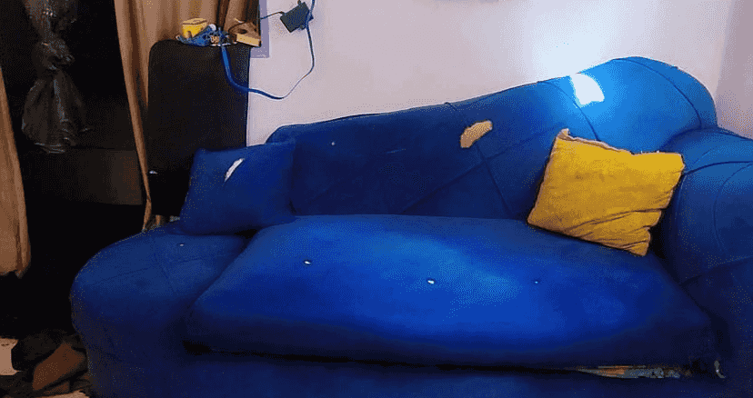 Sofa and two chairs for sale