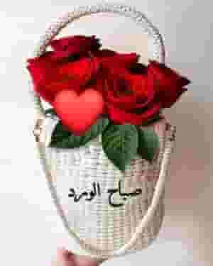 There is a highly efficient buffet and cleaning lady who is good at cleaning offices, arranging and coordinating dates and making a buffet