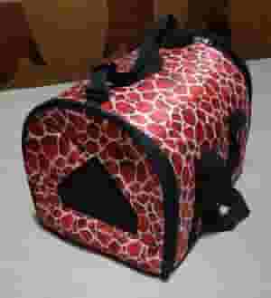 شيالة قطه وتربروف