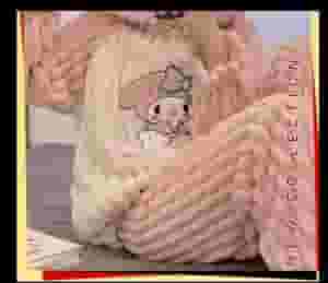 Winter Bowler Puller Puller