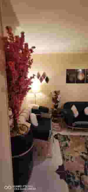 شقه للايجار لقطه بالمهندسين