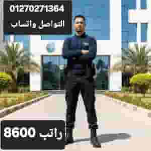 التعين فوراً