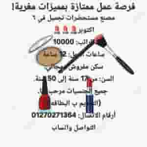 التعين فوراً