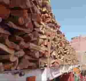 BBQ, camping and heating firewood for export