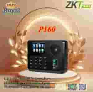 ZKTeco P160 attendance and departure device