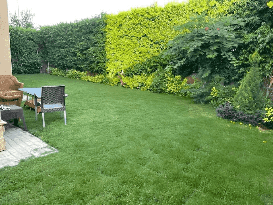 The last duplex is for sale at half the price with a discount in Cash Sur Madina 205 m