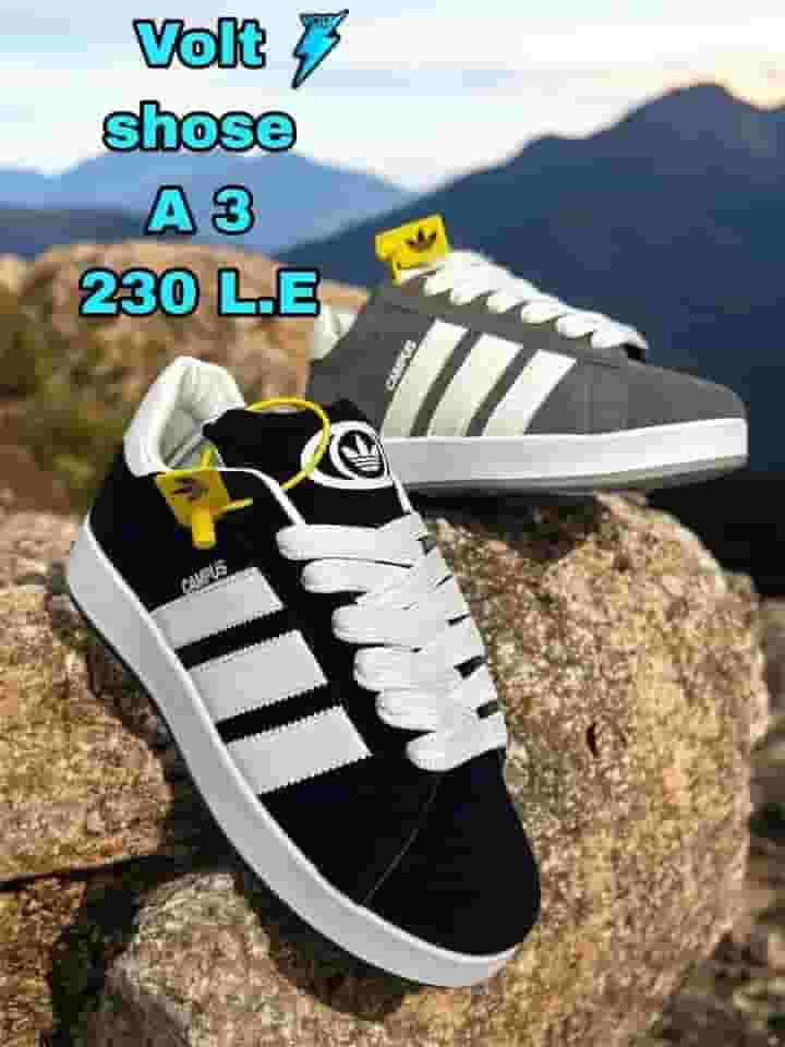 shoses for all governorates in Egypt