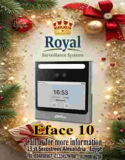 Attendance devices in Alexandria EFACE 10 BY ZKTECO
