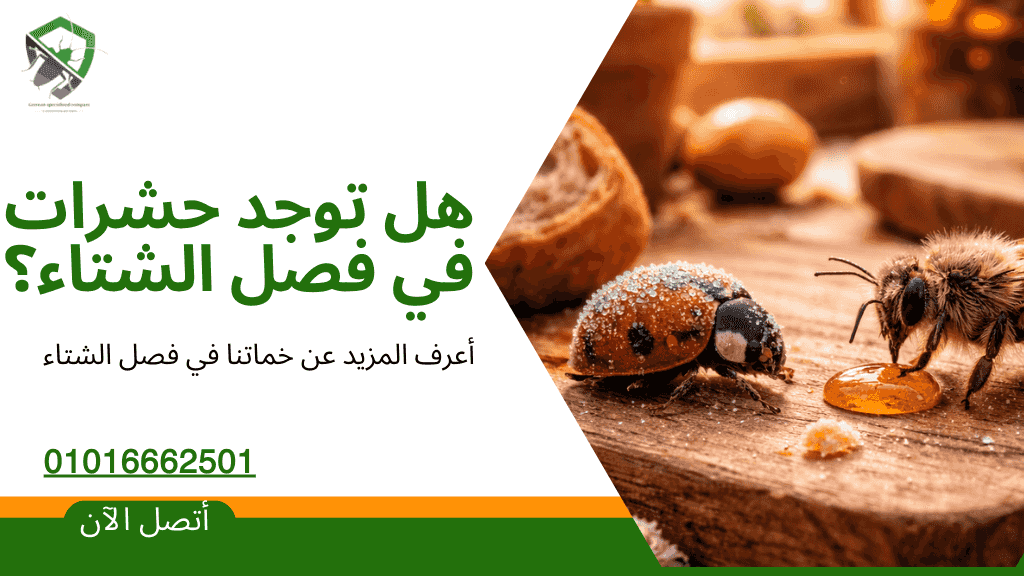 خدمات الشركة الالمانية لمكافحة الحشرات