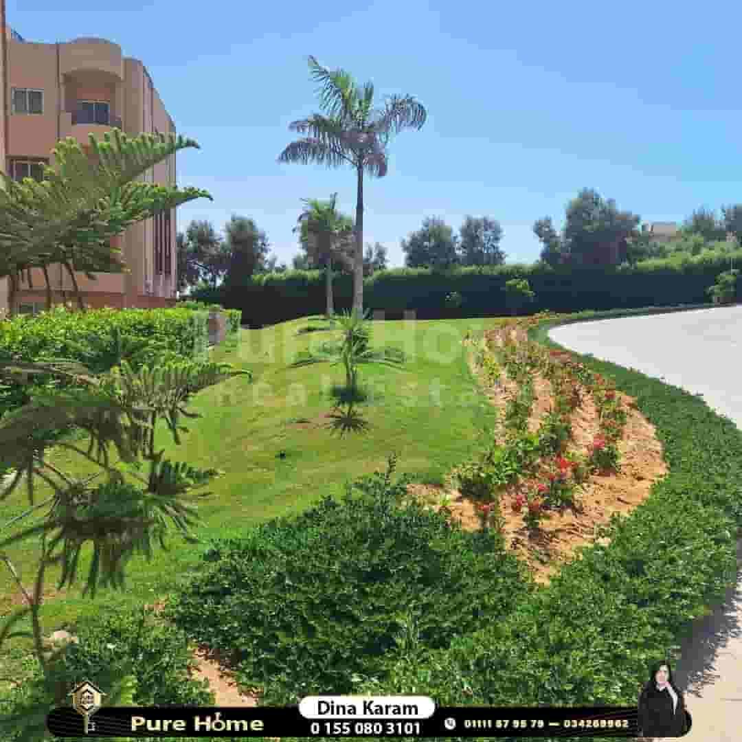 شالية للبيع قرية سيرينا أمام زهران و قرية بدر 75م