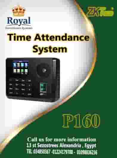 ZKTeco P160 attendance and departure device