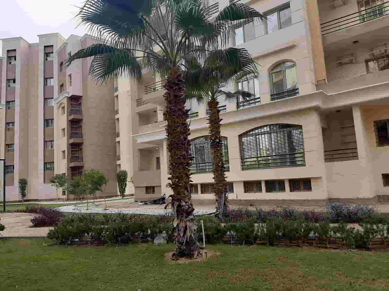 155 m fully finished apartment for immediate delivery in Al Maqsad Capital Compound