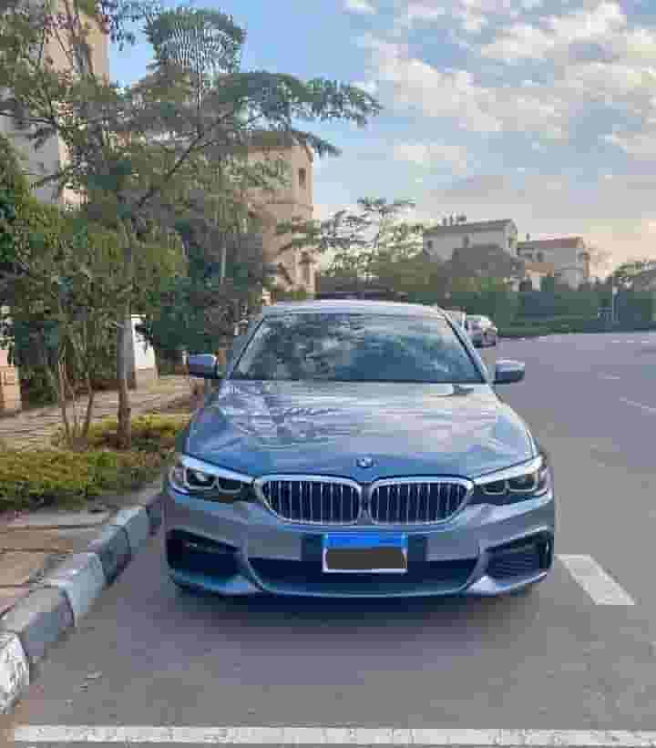  BMW 520i 2019