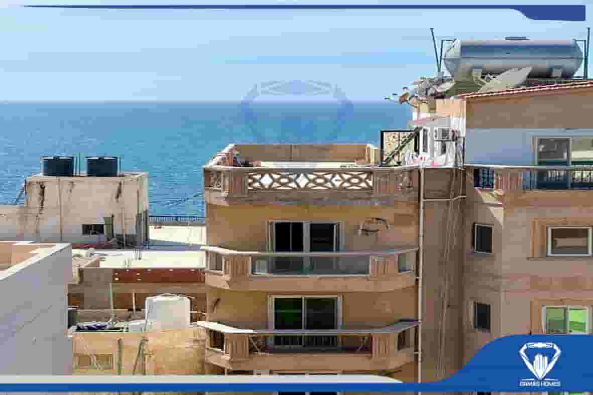 جليم شارع طلعت (( برج شيك امن وحراسه ))