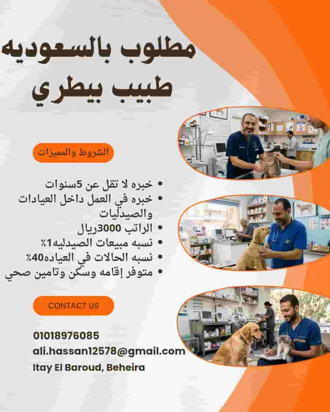 مطلوب للتعاقد بالسعوديه دكتور بيطري