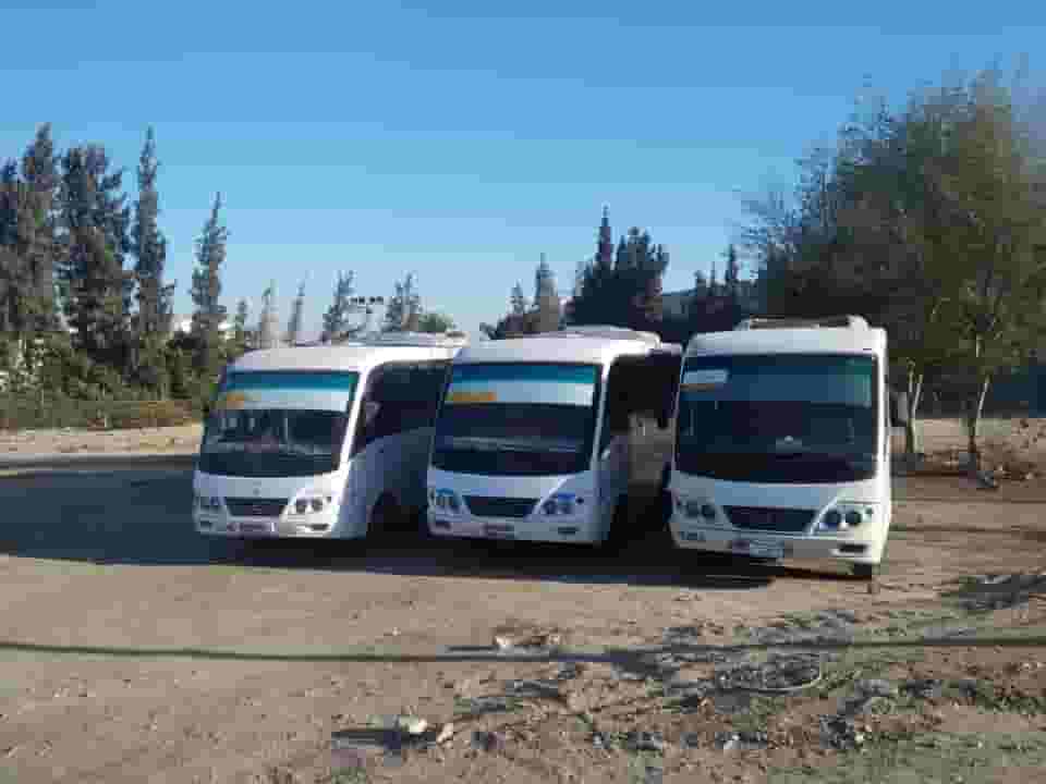 ايجار باصات 33 راكب الى الاسكندريه 