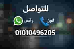 Production workers are required in a strawberry factory