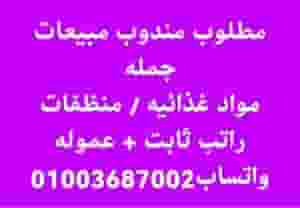 Wholesale sales representatives are required for a detergent factory in Helwan