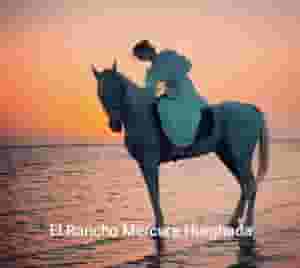 Horse riding tours in Hurghada