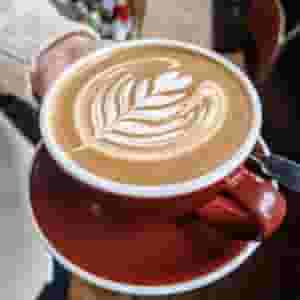 A barista employee who is good at preparing hot drinks is required